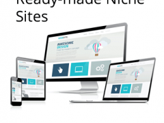 How to Buy a Niche Website and Succeed Online in 2018! How to Buy a Niche Website and Succeed Online in 2018!