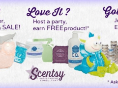 What is Scentsy? Scam or Legit? My Scentsy Review What is Scentsy? Scam or Legit? My Scentsy Review