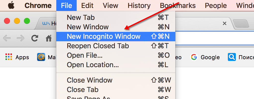 doing-search-through-incognito-mode