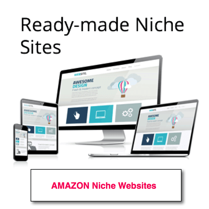 ready-made-niche-website