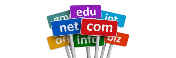 buying a domain name