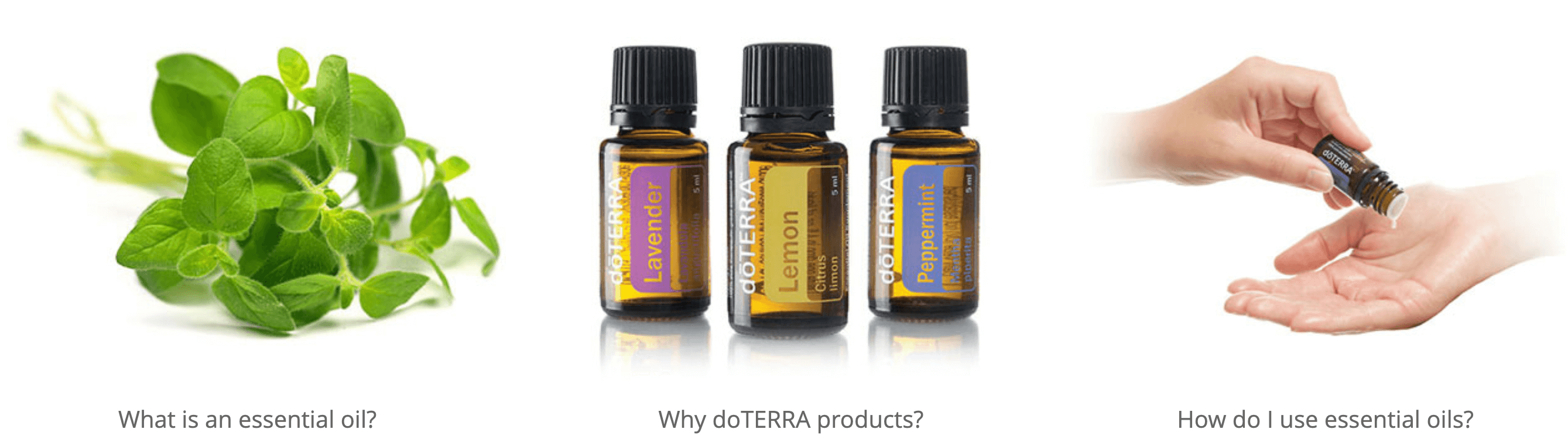 doterra-products