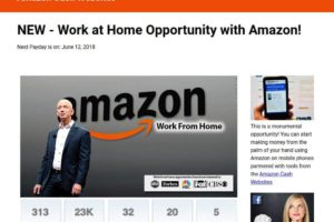 Amazon Cash Websites Review – Amazon Business Opportunity?