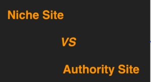 niche-vs-authority