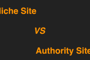 Niche Site VS Authority Site